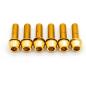 Preview: Better Bolts Deity Copperhead Vorbau M6x19mm Titan Schrauben-Kit gold