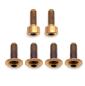 Preview: Better Bolts Fox 34 SL Fit4/Grip SL Federgabel Schrauben-Kit Titan copper