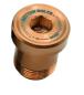 Preview: Better Bolts SRAM T-Type UDH GX/Force XPLR/Rival XPLR Titan Schraube copper
