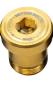 Preview: Better Bolts SRAM T-Type UDH XX SL/XX/X0/Red XPLR Titan Schraube gold