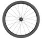 Preview: NEWMEN Advanced A.50 12 x 142mm Centerlock Sram XDR 12 fach Laufrad hinten