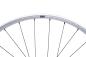 Preview: NEWMEN Beskar 30 Strong Enduro/DH 29" 12 x 148mm 6-Loch Shimano Micro Spline silver LTD Laufrad hinten