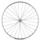 Preview: NEWMEN Beskar 30 Base Enduro 29" 15 x 110mm 6-Loch silver LTD Laufrad vorne