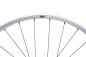 Preview: NEWMEN Beskar 30 Base Enduro 29" 15 x 110mm 6-Loch silver LTD Laufrad vorne