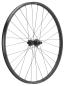 Preview: NEWMEN Forge 30 Base Trail 29" 12 x 148mm Shimano Micro Spline 6-Loch Laufrad hinten