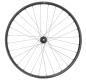 Preview: NEWMEN Phase 30 light XC 29" 12 x 148mm 6-Loch Sram XD Laufrad hinten