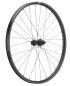 Preview: NEWMEN Phase 30 light XC 29" 12 x 148mm 6-Loch Shimano Micro Spline Laufrad hinten