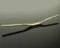 Preview: Renthal Fatbar35 V3 800mm/20mm Rise gold Lenker