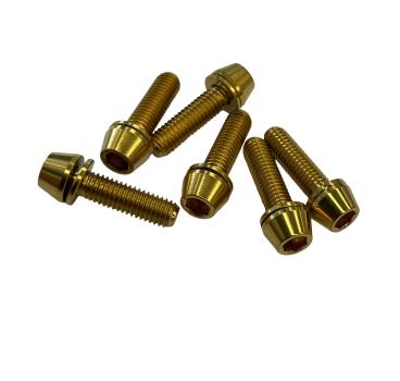 Better Bolts Enve Road Vorbau M5x17mm Titan Schrauben-Kit gold