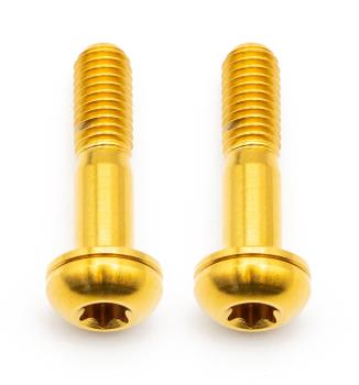 Better Bolts Flat Mount Befestigungsschrauben Kit Titan M5x22mm gold
