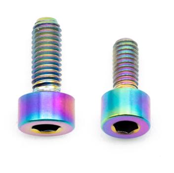 Better Bolts Fox 32 2025+ Grip/Grip2/GripX/Grip X2/Rhythm Federgabel Schrauben-Set Titan rainbow