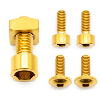 Better Bolts Fox 36 Fit4/Grip SL (2021-2025) Federgabel Schrauben-Kit Titan gold