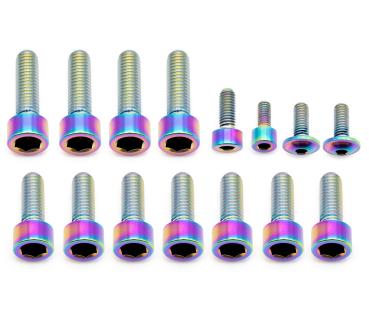 Better Bolts Fox 40 Grip X2 Federgabel Schrauben-Kit Titan rainbow