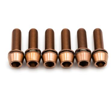 Better Bolts Raceface Turbine R Vorbau M5x17mm Titan Schrauben-Kit copper
