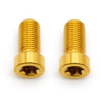 Better Bolts Sram AXS Discrete Schrauben Set Titan gold