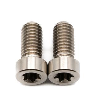 Better Bolts Sram AXS Discrete Schrauben Set Titan silver