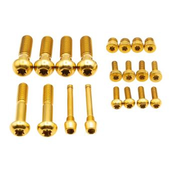 Better Bolts Sram Code Ultimate/Silver/Bronze/RSC Disc Brake Schrauben Kit Titan gold
