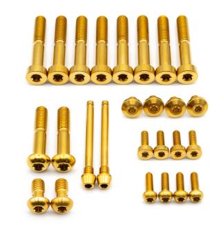 Better Bolts Sram Maven Ultimate/Silver Disc Brake Schrauben Kit Titan gold