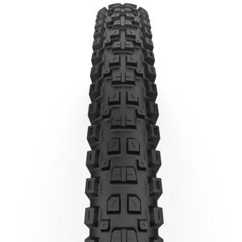 Cast Protagonist Gravity TLR HardWall SmartEVO DH 29x2.4 Reifen