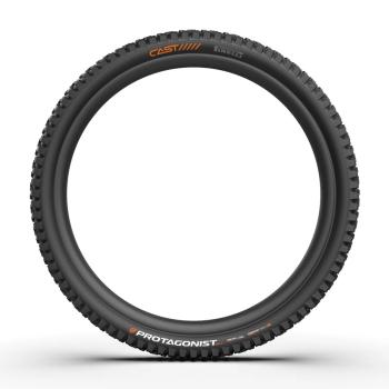 Cast Protagonist Gravity TLR HardWall SmartEVO DH 29x2.4 Reifen