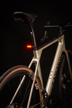 Lupine C14 Mag International