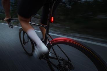 Preview: Lupine Rotlicht Pro Rücklicht Internationale Version