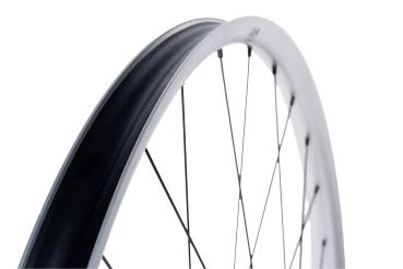 NEWMEN Beskar 30 Strong Enduro/DH 29" 12 x 148mm 6-Loch Shimano Micro Spline silver LTD Laufrad hinten