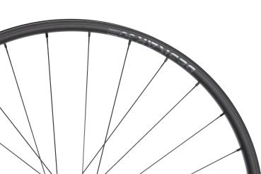 NEWMEN Beskar 30 Light XC 29" 12 x 148mm 6-Loch Shimano Micro Spline Laufrad hinten