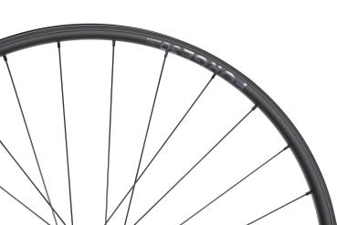 NEWMEN Forge 30 Strong Enduro 29" 12 x 148mm Shimano Micro Spline Spline 6-Loch Laufrad hinten