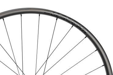 NEWMEN Phase 30 Base Trail 29" 12 x 148mm Shimano Micro Spline Laufrad hinten