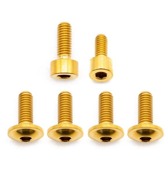 Better Bolts Fox 34 SL Grip/Grip2/GripX/Grip X2/Rhythm Federgabel Schrauben-Kit Titan gold