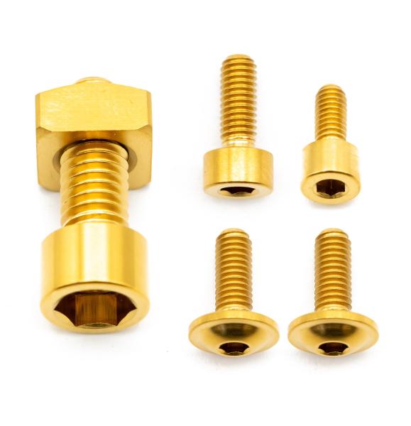 Better Bolts Fox 38 Grip/Grip2/GripX/Grip X2/Rhythm Federgabel Schrauben-Kit Titan gold