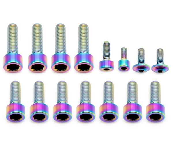Better Bolts Fox 40 Grip X2 Federgabel Schrauben-Kit Titan rainbow