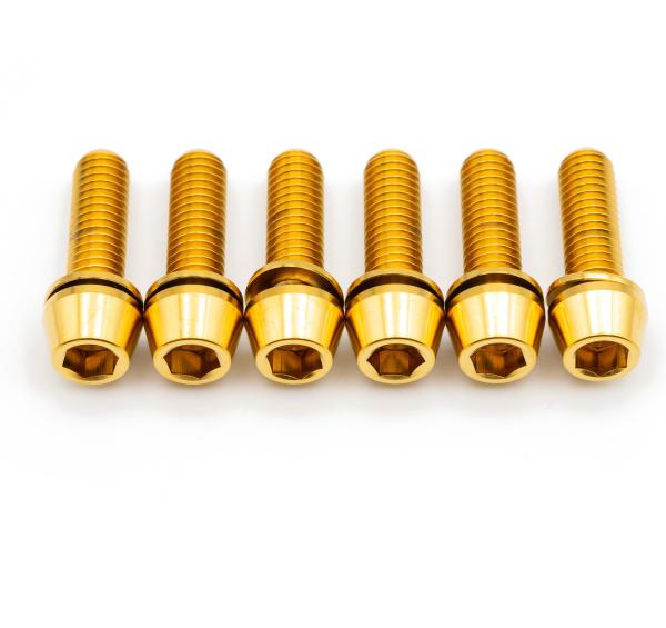 Better Bolts Raceface Turbine R Vorbau M5x17mm Titan Schrauben-Kit gold