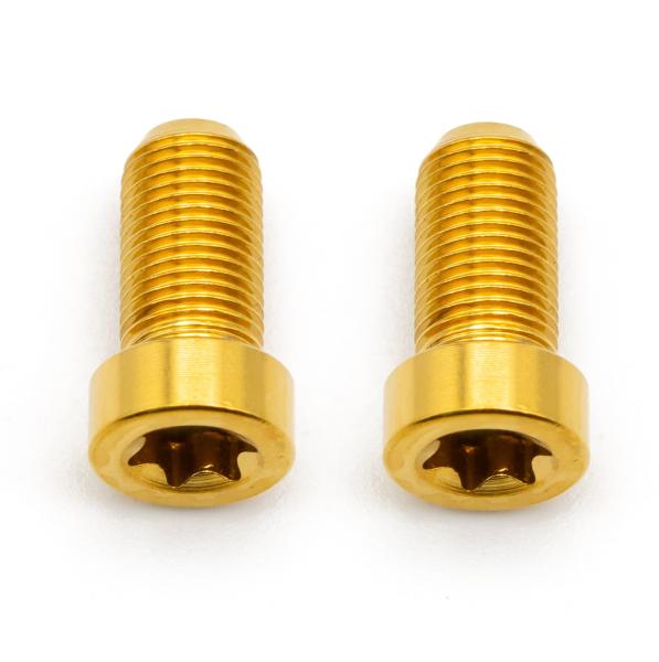 Better Bolts Sram AXS Discrete Schrauben Set Titan gold