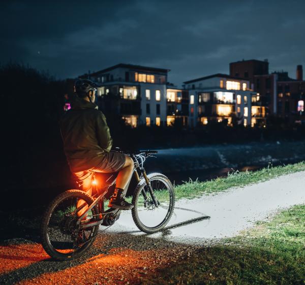 Lupine C14 E-Bike Rücklicht mit Bremslicht 34.9mm