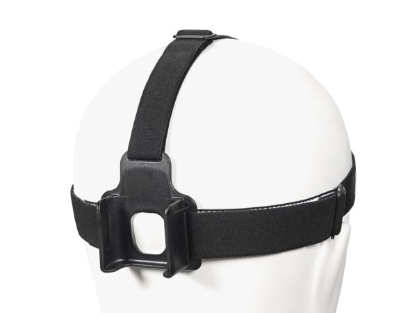 Lupine FrontClick Stirnband