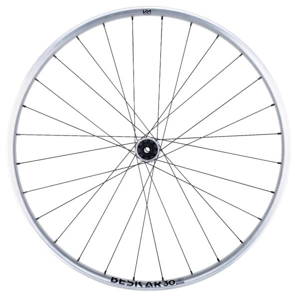 NEWMEN Beskar 30 Strong Enduro/DH 29" 12 x 148mm 6-Loch Shimano Micro Spline silver LTD Laufrad hinten