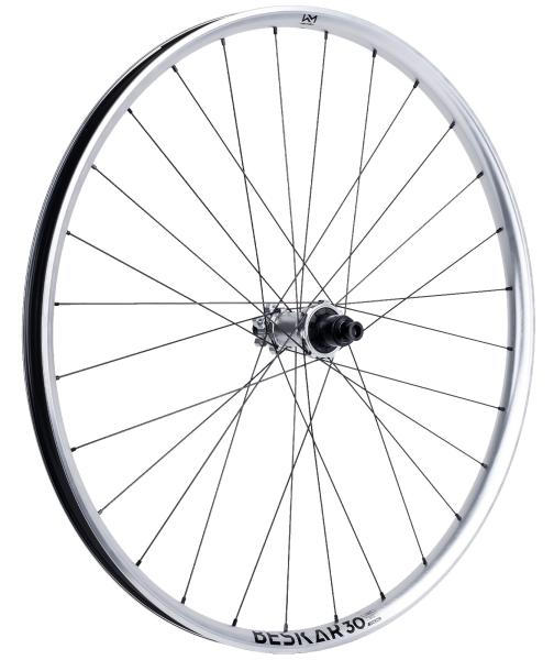 NEWMEN Beskar 30 Strong Enduro/DH 29" 12 x 148mm 6-Loch Shimano Micro Spline silver LTD Laufrad hinten