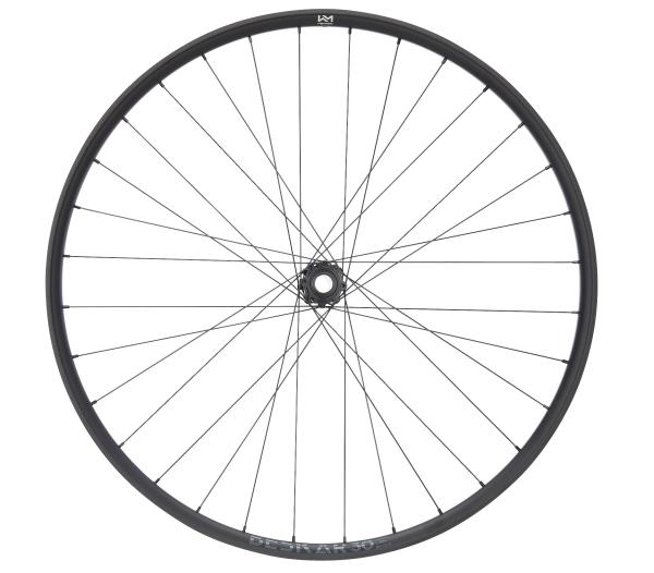 NEWMEN Beskar 30 Strong DH 29" 15/20 x 110mm 6-Loch Laufrad vorne