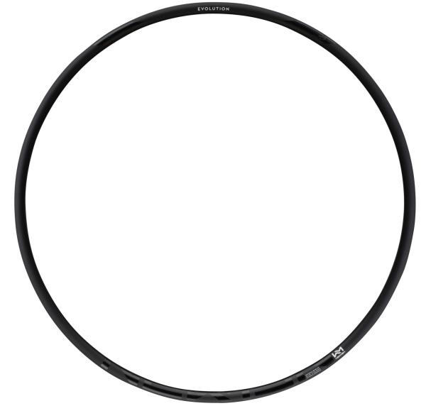 NEWMEN Evolution SL X.R.25 29" 28 Loch Felge