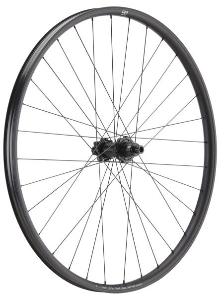 NEWMEN Forge 30 Strong Enduro 29" 12 x 148mm Sram XD 6-Loch Laufrad hinten
